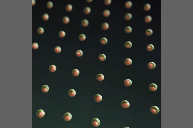 Blastocyst-like structures generated solely from stem cells