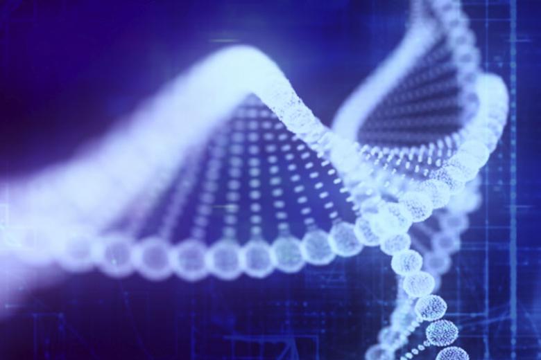 MaCSBio receives NWO-TIFN-TKI grant