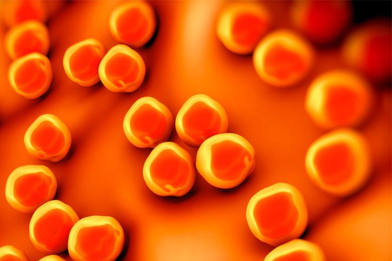 MRSA tester