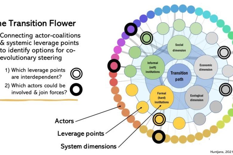The Transition Flower