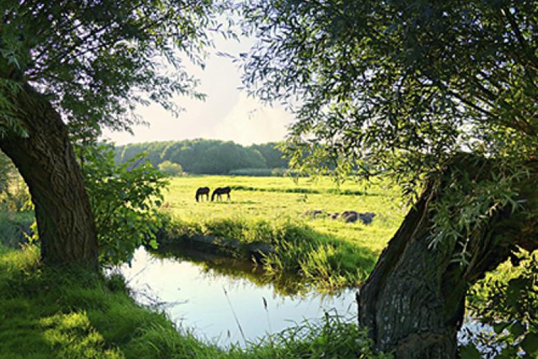 psychotropic drugs in Dutch surface water