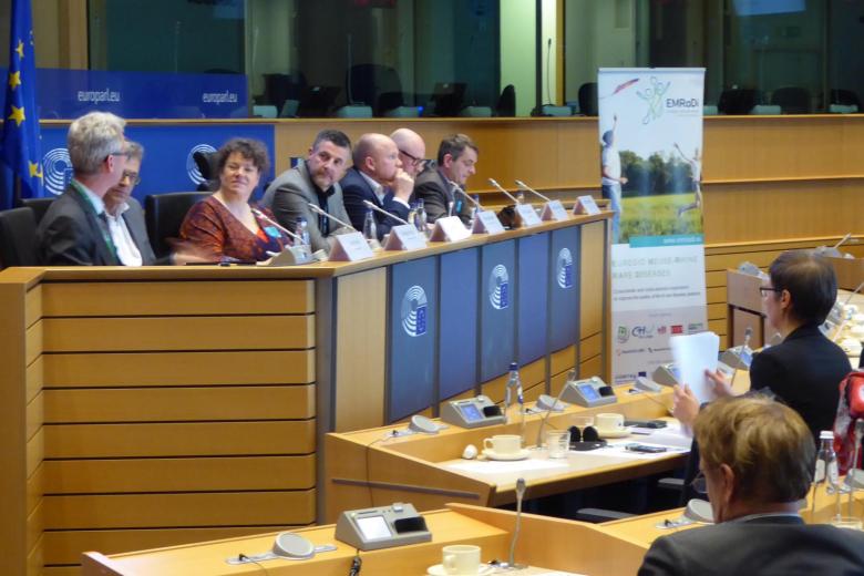 rare diseases Interreg