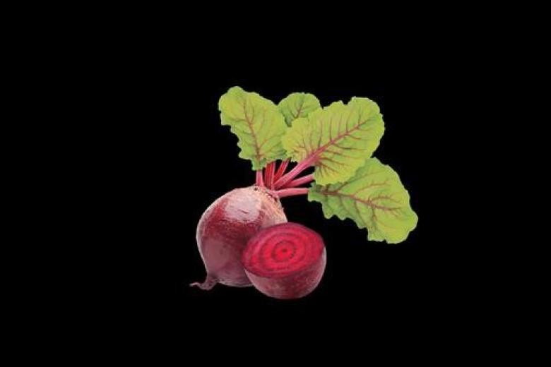 rodebietensap