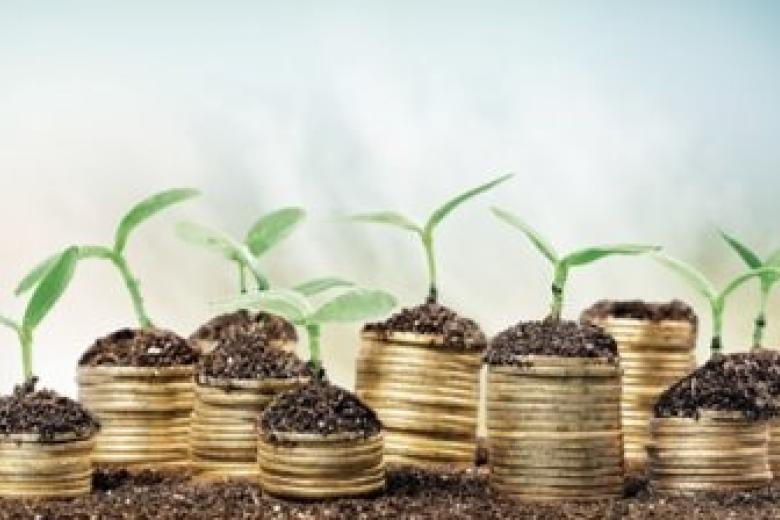 seed money call