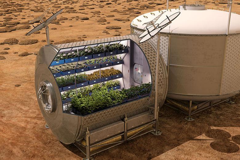 Picture of a space garden, used for growing plants and vegetables in space