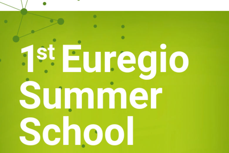 summer_school_flyer_for_recruiting_maastrichtu_online_deadline_7jun_verkleind.png
