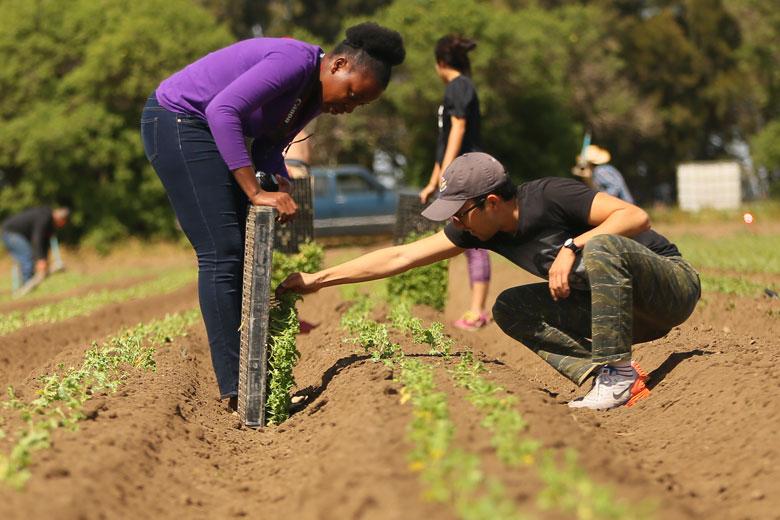 Test image with some students in a green setting garden plants