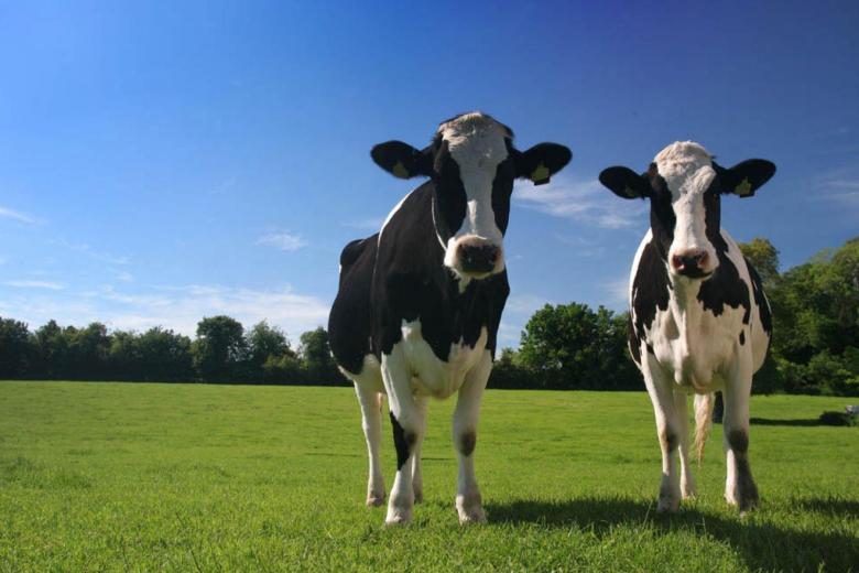 De BBB moet eerlijk zijn over de toekomst van boeren