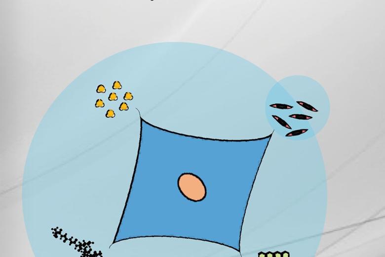 tianyucover