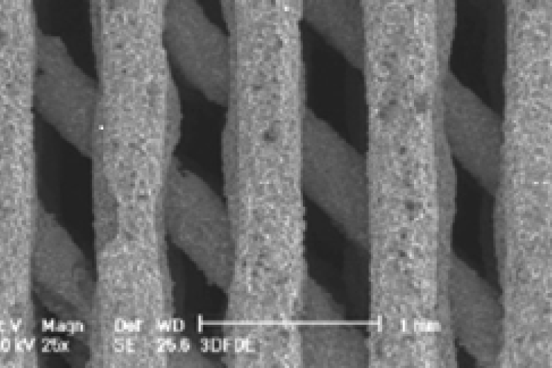 Titanium biomaterials