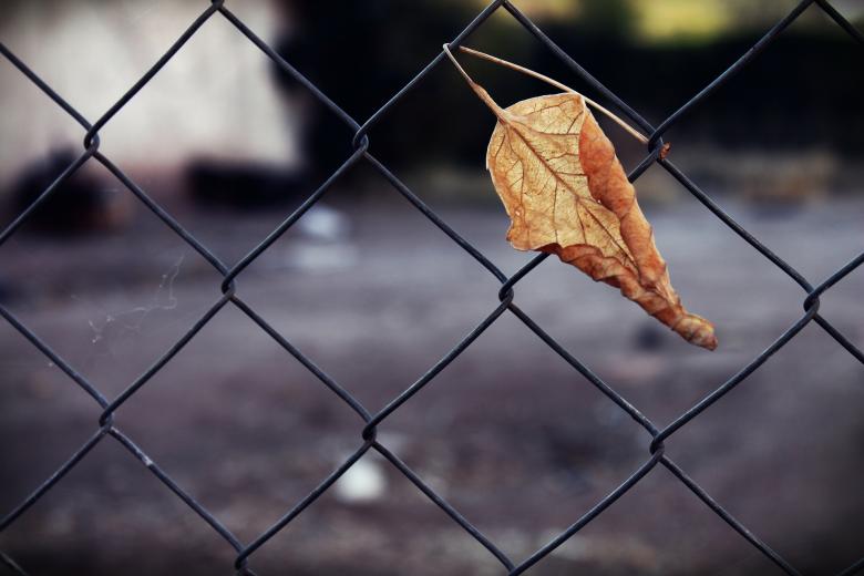 Trapped in a marriage research project