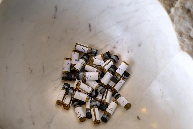 Performance-enhancing pill