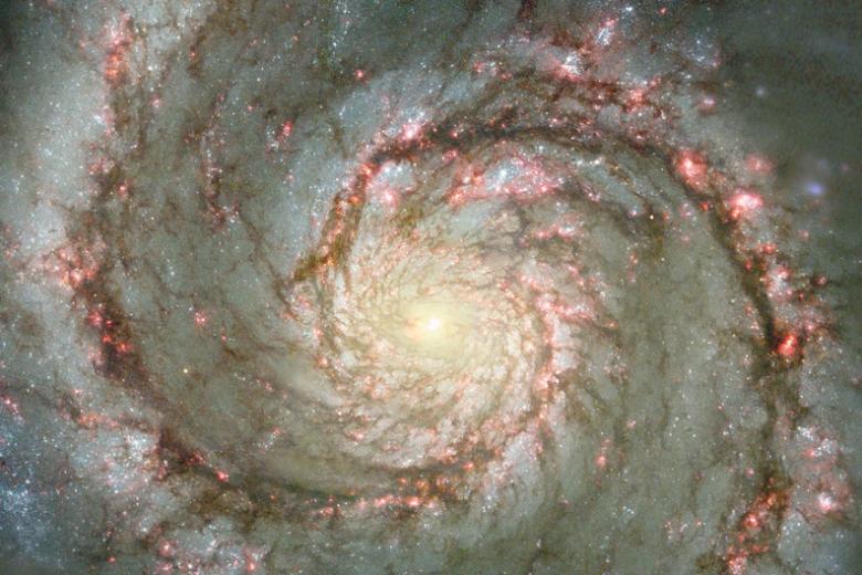 Universe