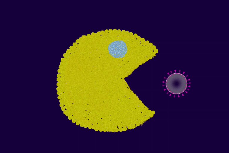 vlcsnap-2021-10-19-14h55m41s989.png