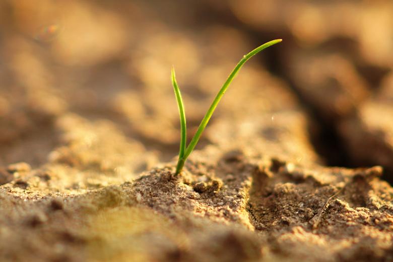Lecture: Resilience