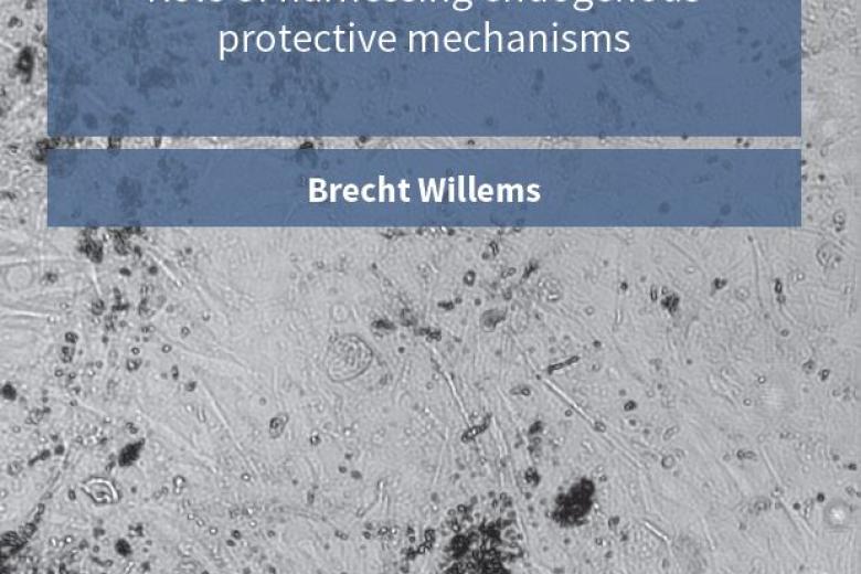 willems_cover