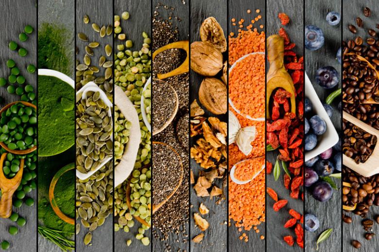 veganism sustainability UM vegan lunch challenge