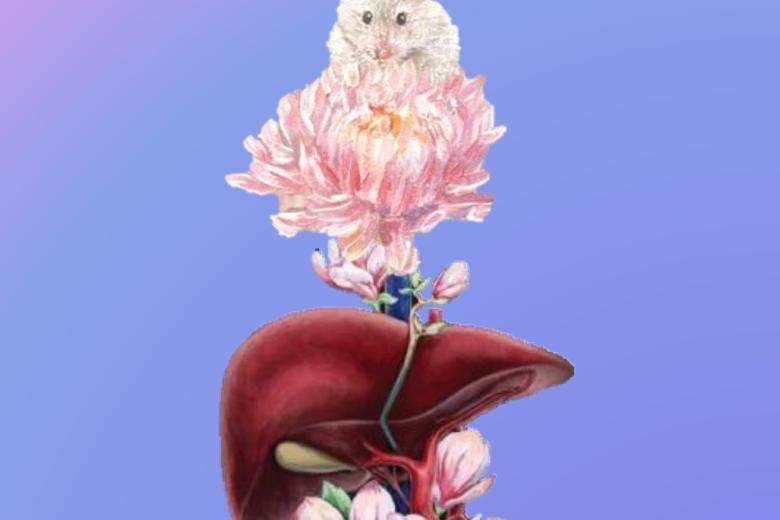 yadati