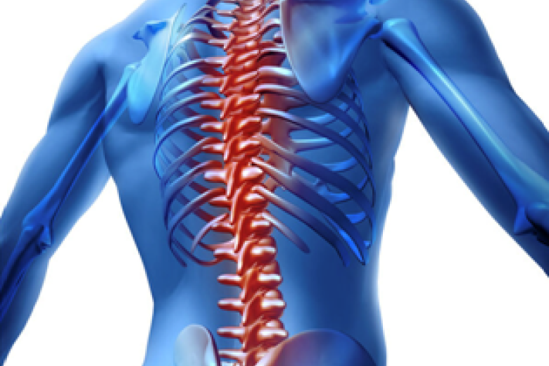 Spine Disorders