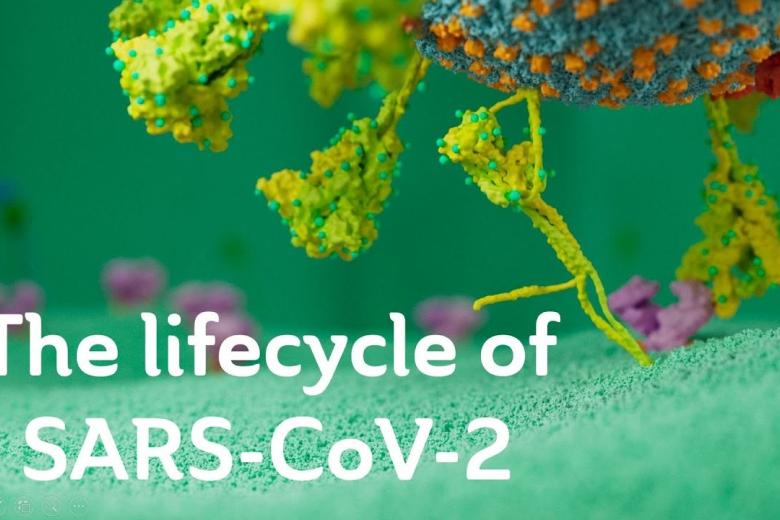 sars-cov-2