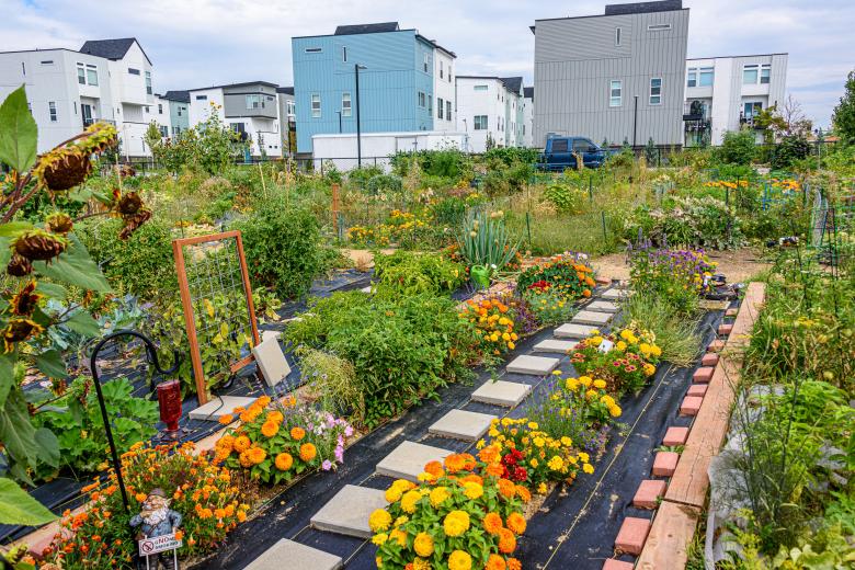 a community owned garden
