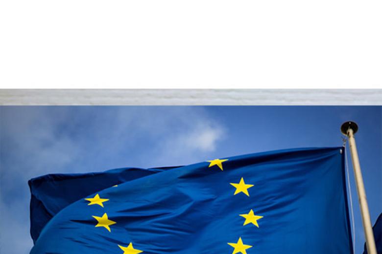 Europese vlag