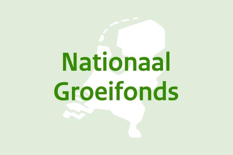 Nationaal Groeifonds