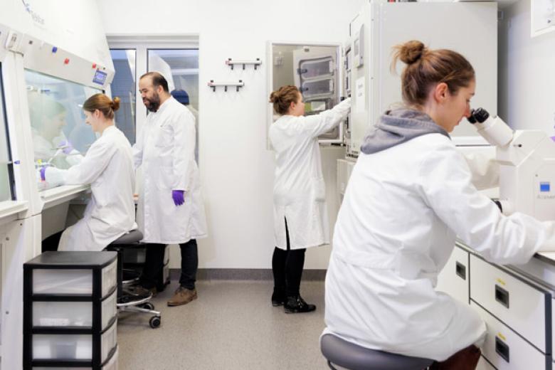 Master's programmes at the Faculty of Health, Medicine and Life Sciences