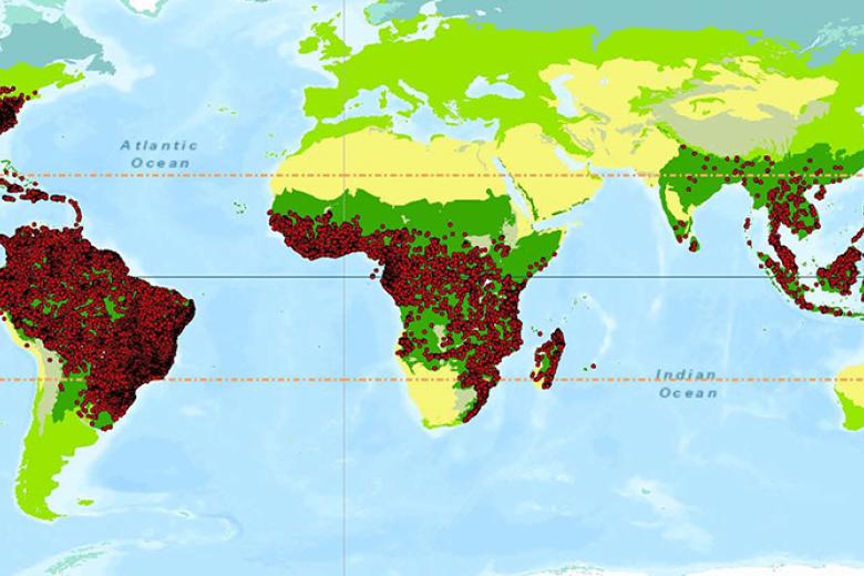World map
