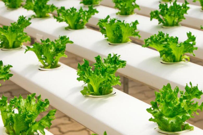 Future of farming