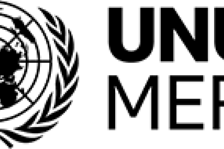 UNU merit logo