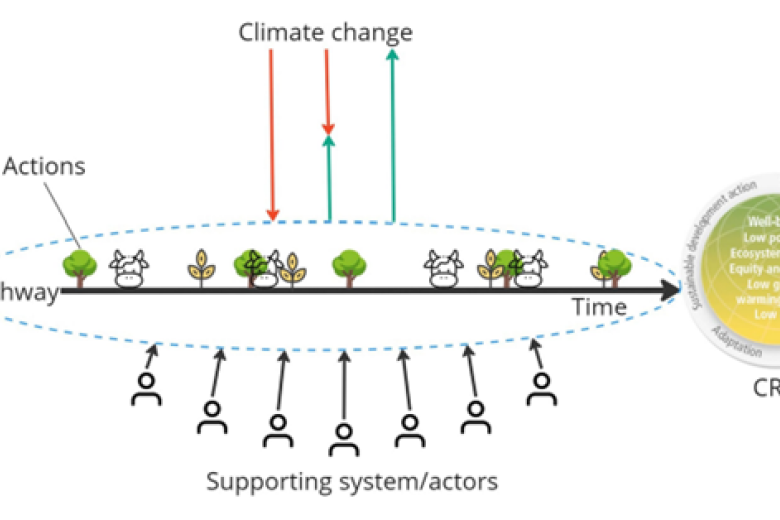 Visualisation of an indicative climate resilient development pathway
