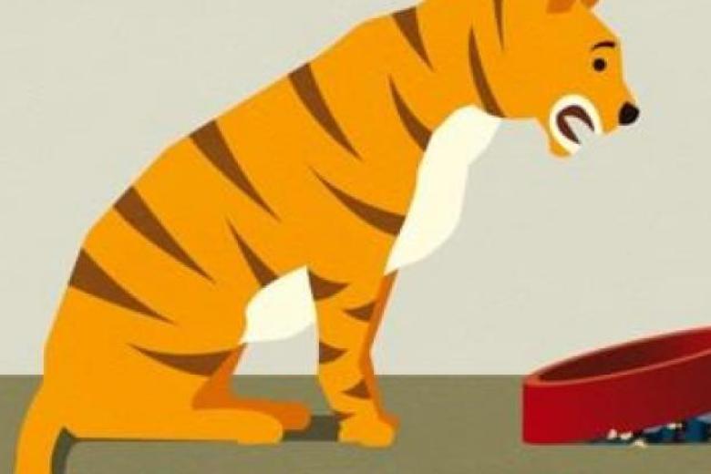 economische_tijger
