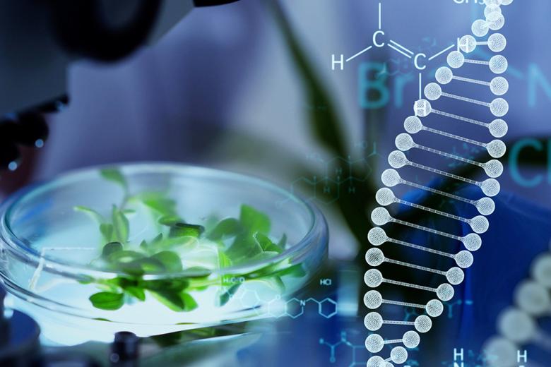 Petri dish and DNA