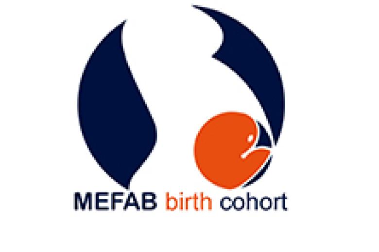 mefab_logo_blue_ibi