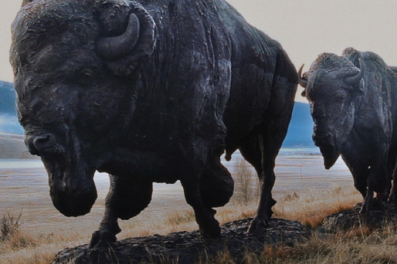 Foto van Bisons. Still uit de film There is a Place on Earth