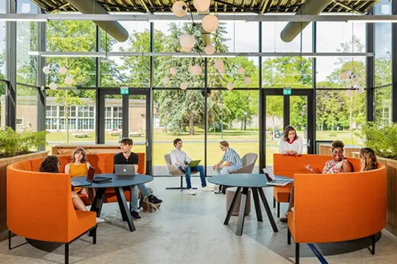 Tapijn library