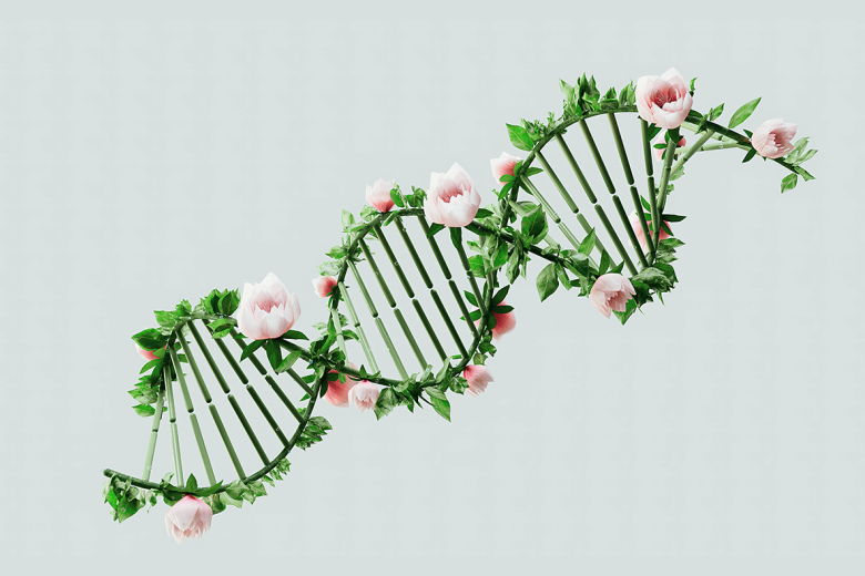Flower DNA