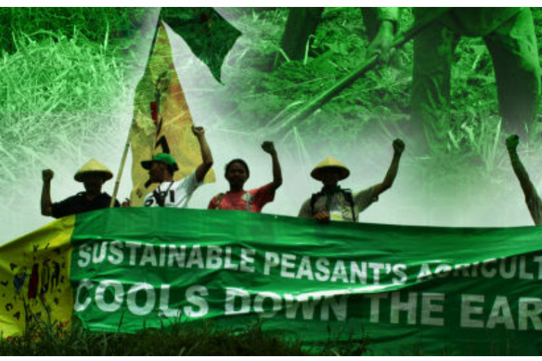 La Via Campesina: Small Scale farmers cooling down the Earth