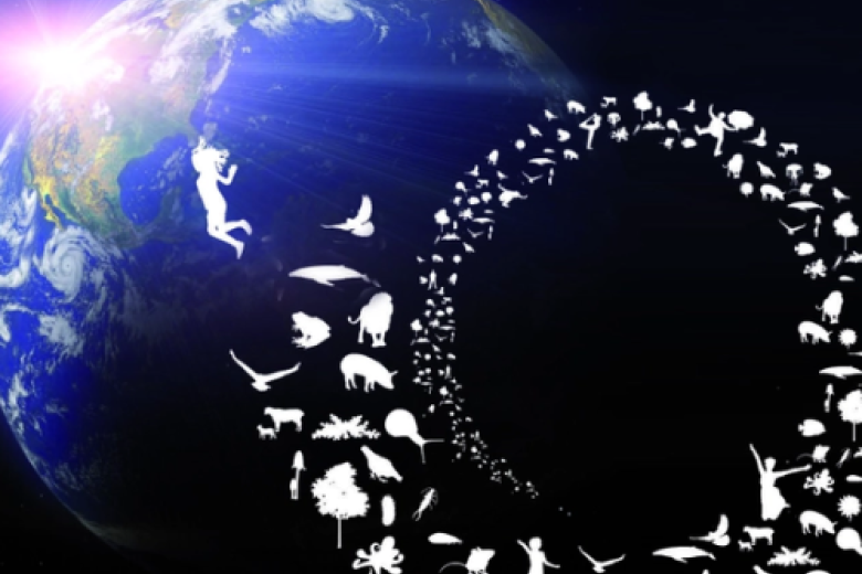 Planet