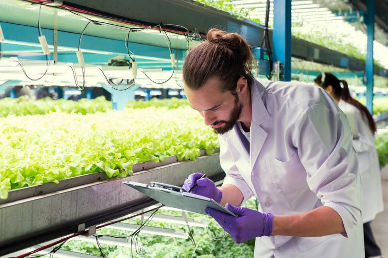 A researcher at work in a greenhouse