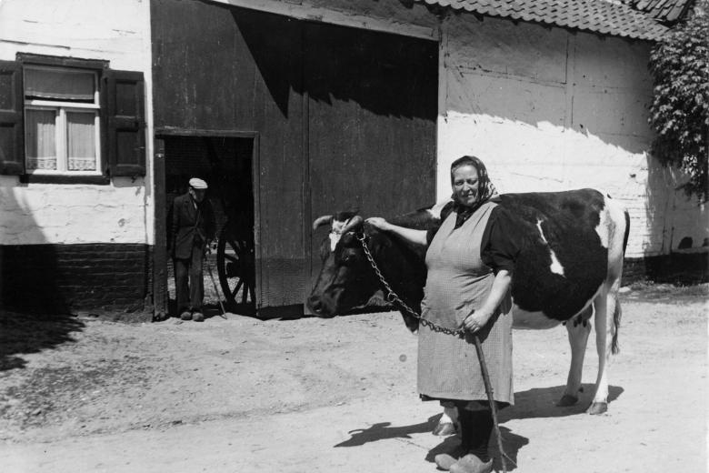 Een boerin (mevrouw Loozen) staat klaar om met een koe naar de stier te gaan. In de poortopening staat een oudere boer die leunt op een stok. Reijmerstok (Gulpen-Wittem), 1945-1961. Fotograaf: Hub. Leufkens