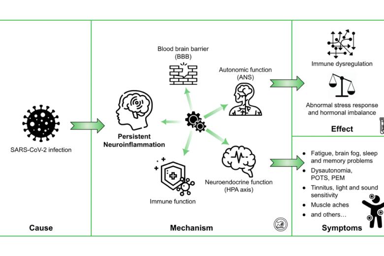 graphical overview of post covid study