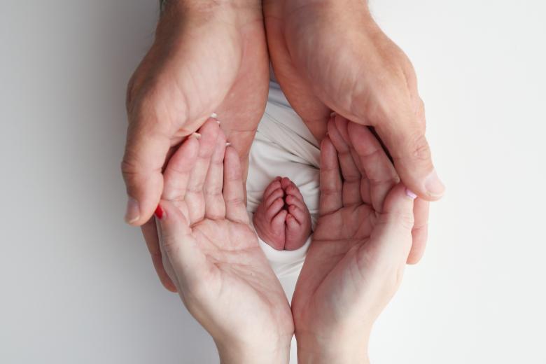 Hands of parents and baby