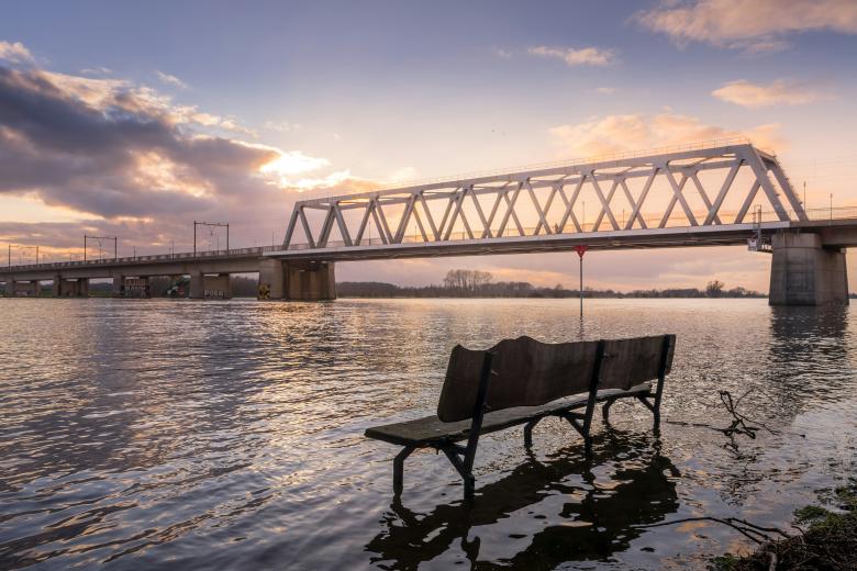 Are Dutch Social Housing Institutions Ready for Rising Flood Risks?