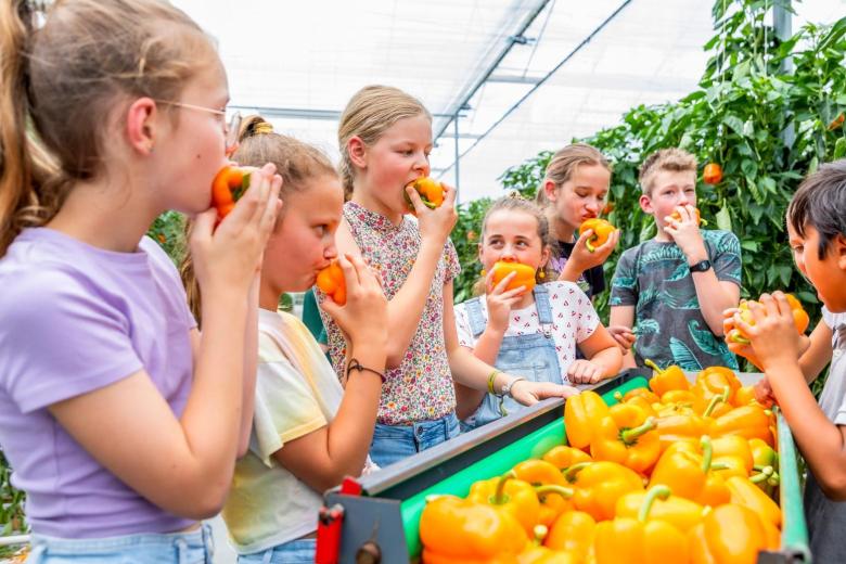 Children eating fruit during a Kokkerelli event.
