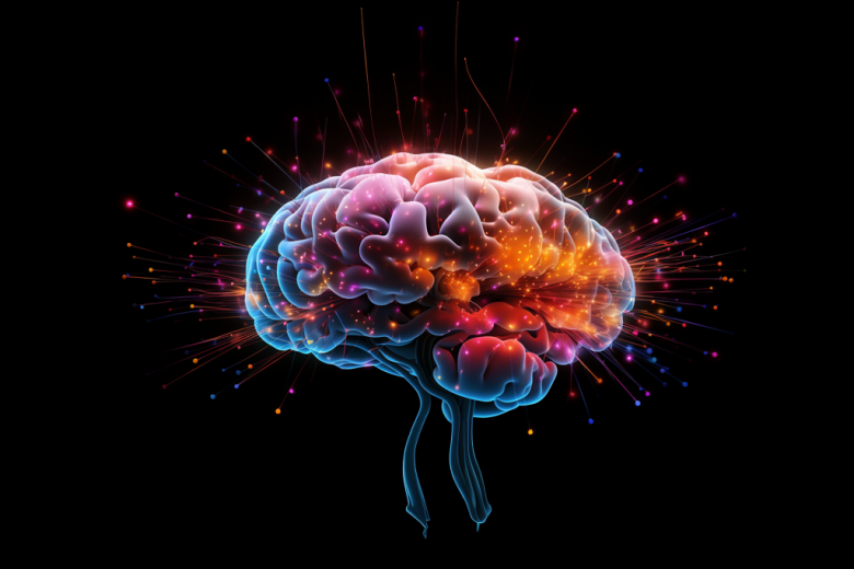 bachelor brain science - 1