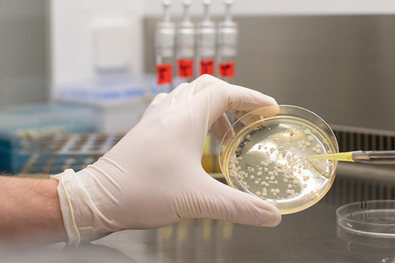 Sampling something in petridish