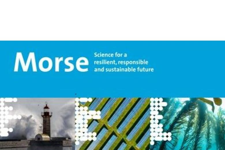 morse banner