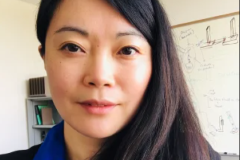 Prof. Dr. Jichen Zhu, IT University of Copenhagen